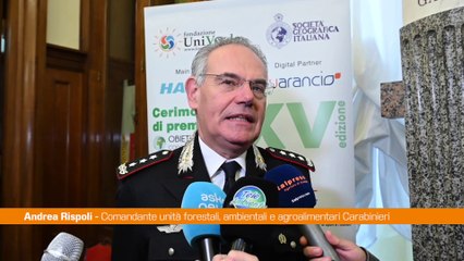Carabinieri, Rispoli "Importante educare al rispetto per l'ambiente"