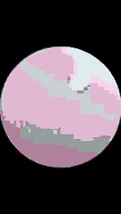 PEDRO O GUAXINIM DAY4  #Pedro #guaxinim #viral #day4