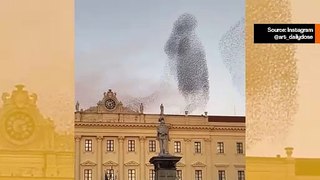 Video näyttää vaikuttavan varislintujen baletin Italian taivaalla