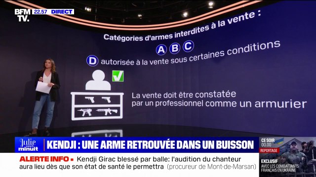 LES ÉCLAIREURS - Quelles sont les catégories d'armes interdites à la vente?