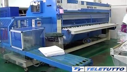 Video News - Cresce l'artigianato dei servizi