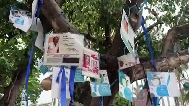Esto piden familiares de personas desaparecidas a diputados de Veracruz