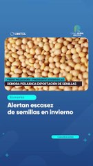 Alertan escasez de semillas en invierno