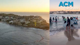 Bondi community reflects on stabbing victims in dawn paddle-out