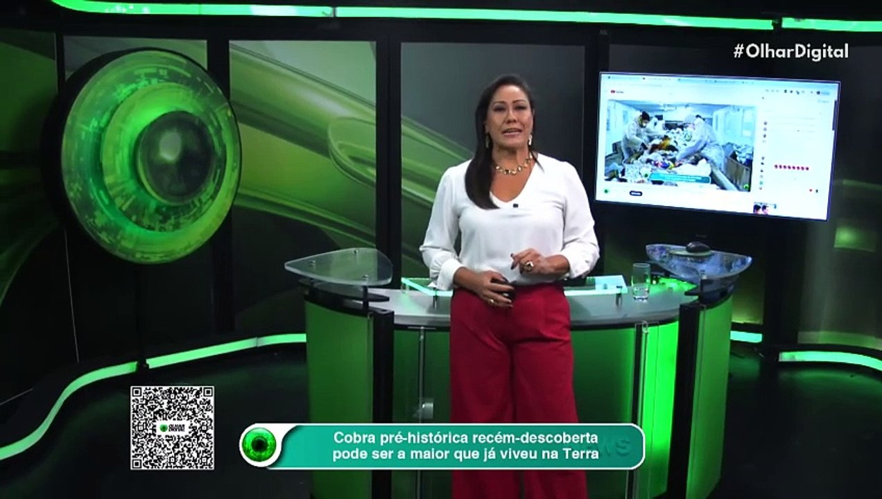 Cobra pré-histórica recém-descoberta pode ser a maior que já viveu na Terra