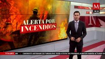 Incendios forestales afectan más de 33 mil hectáreas en la Selva de los Chimalapas, Oaxaca