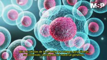 ¿Cómo funcionan las pruebas de  ácido nucleico para detectar enfermedades de transmisión sexual? - #MSP