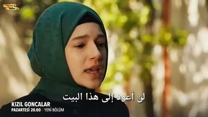مسلسل البراعم الحمراء الحلقة 15 الاعلان الرسمي مترجم للعربية