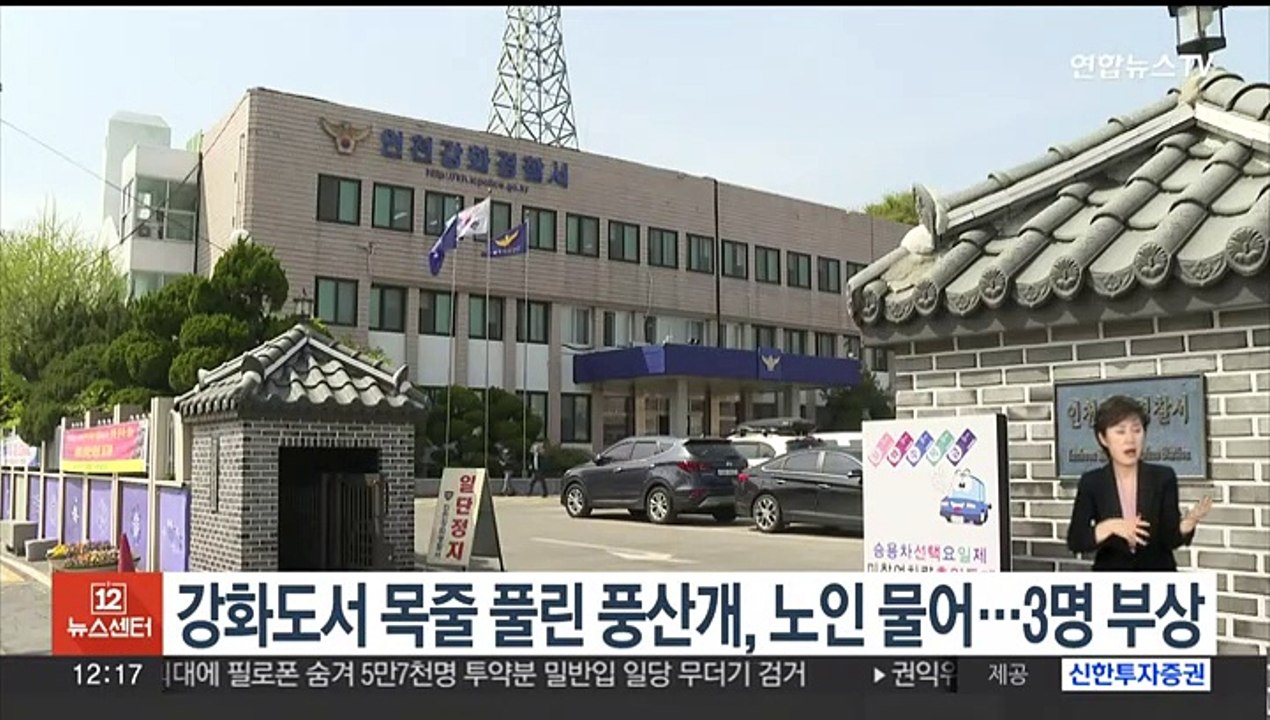 강화도서 목줄 풀린 풍산개, 노인 물어…3명 부상