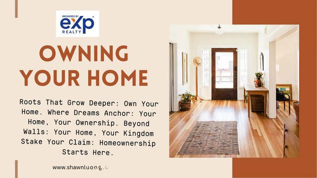 One Source for Innovative Storage Solutions and Endless Creativity (7)