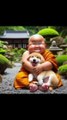 little monk so cute cute baby video  #naturelover4kstatus #trendingshorts #ytshort #youtubeshorts