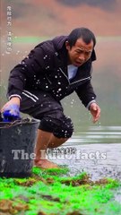 चिंकी को मिला लाल वाला मोती  ~ mini wood toy-wood working art skill wood _ hand crafts _ #shorts