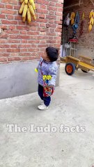 तूने चुराया मशरूम  ~ mini wood toy-wood working art skill wood _ hand crafts _ #shorts