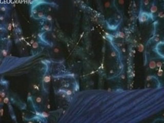 La vie extraterrestre (1 3)