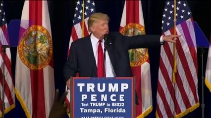 Opening arguments heard in Donald Trump hush money trial