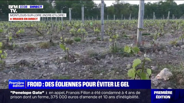 Indre-et-Loire: des éoliennes brassent l'air pour éviter le gel dans les vignes