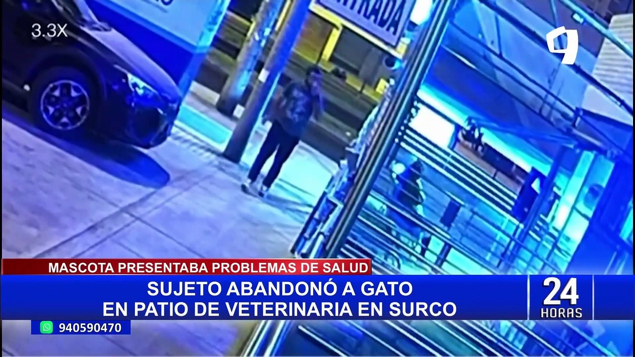 Surco: captan a sujeto arrojando un gato a patio de veterinaria