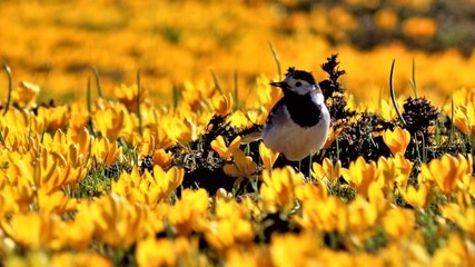 Gizli cennet: Eğrigöl