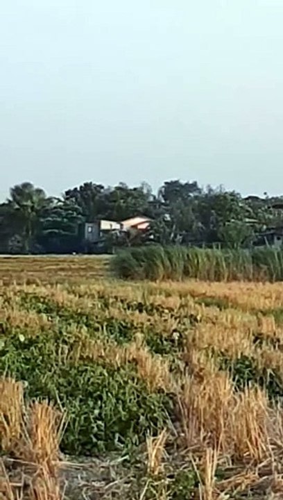 Farm life