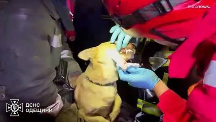 باستخدام المسيرات.. إصابة 9 أوكرانيين بهجوم روسي على مدينة أوديسا