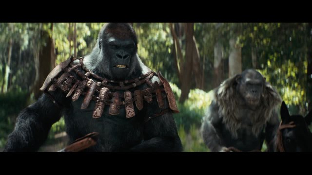 La Planète des Singes : Le Nouveau Royaume - Bande-annonce FR