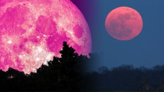 Full Pink Moon 23 April 2024 Time : भारत में पिंक मून कब दिखेगा | Full Pink Moon 2024 India Time