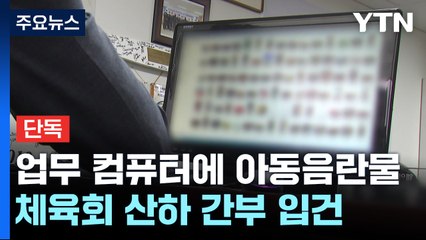 [단독] 업무 컴퓨터서 쏟아진 '아동음란물'...대한체육회 산하 전직 간부 수사 / YTN