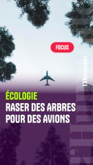 Raser des arbres pour faire voler des avions