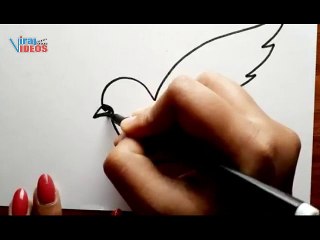 Hogyan rajzoljunk galambot | Galamb rajz | Galambrajz lépésről lépésre