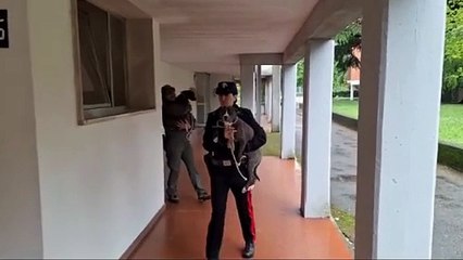 Anziana sbranata a Padova, sequestrati i cani che l'hanno attaccata