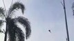 Helicópteros da Marinha colidem no ar e deixam dez pessoas mortas na Malásia