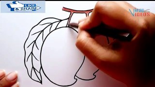 Mangó rajz | Hogyan rajzoljunk mangót lépésről lépésre | Mangó rajzszín | Gyümölcs rajz