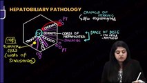 Hepatobiliary pathology