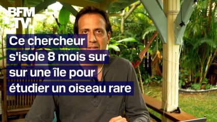 Cet explorateur s'isole 8 mois sur une île de Polynésie française pour étudier un oiseau rare