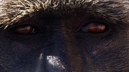 Watch the Kids Take Over: Planet Earth III Earth Day Special 🌍