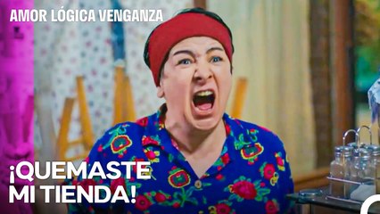 ¡Menekşe Está Al Límite De Su Paciencia! - Amor Lógica Venganza