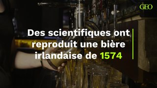 Des scientifiques ont reproduit une bière irlandaise de 1574, et voici ce qu'ils ont appris