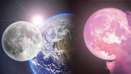Full Pink Moon 23 April 2024 : आसमान में पिंक मून क्यों दिखाई देता है, धार्मिक और वैज्ञानिक कारण