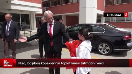 Erzurum'da başkanlık koltuğunu oturan Nisa, talimatını verdi