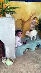 احدث ظهور لادم الرئيسي مع والديه