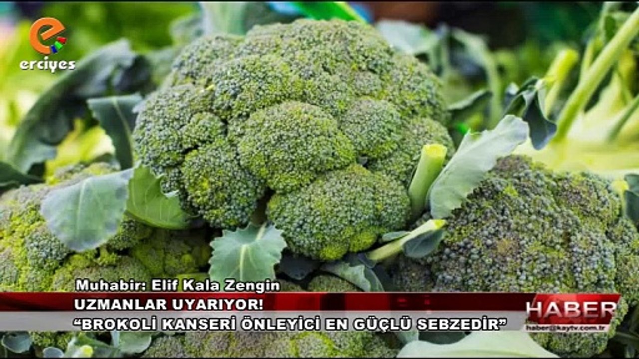 03.03.2024 - ELİF KALA ZENGİN
