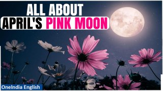 April's Pink Moon: Unlocking the Mysteries, Origins & Spiritual Significance | Oneindia News