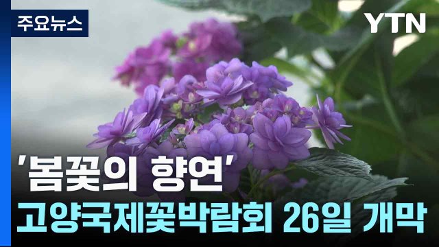 '봄꽃의 향연'...고양국제꽃박람회 26일 개막 / YTN