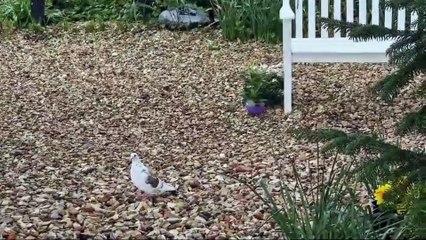 The People's Memorial at Langstone Harbour, Portsmouth