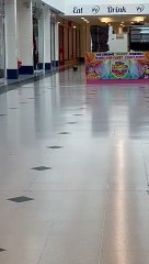 Window shopping badger spotted!