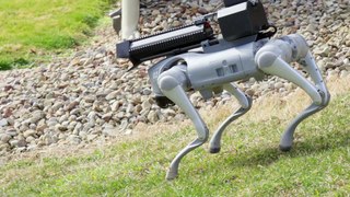 Flame-throwing robot dog is unveiled