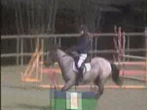 Juju et naple club 2 à coulommiers