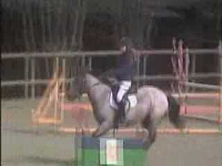 Juju et naple club 2 à coulommiers