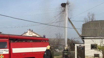 Kindhearted people band together to help storks rebuild their nest after it caught fire