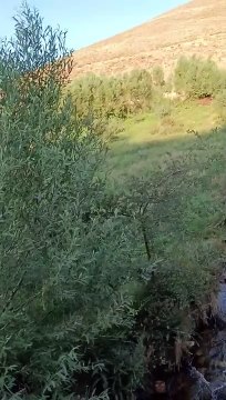 Pınarbaşı Mahallesi - metmanıs